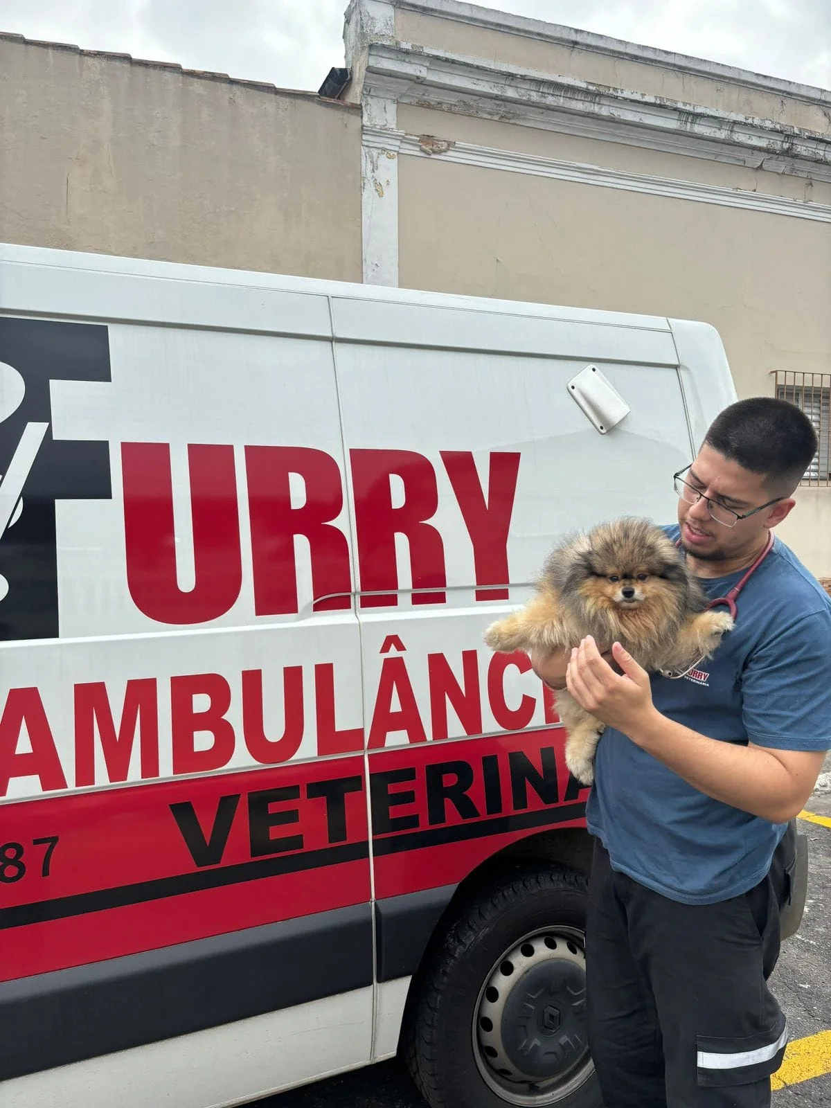 ambulância para cachorro