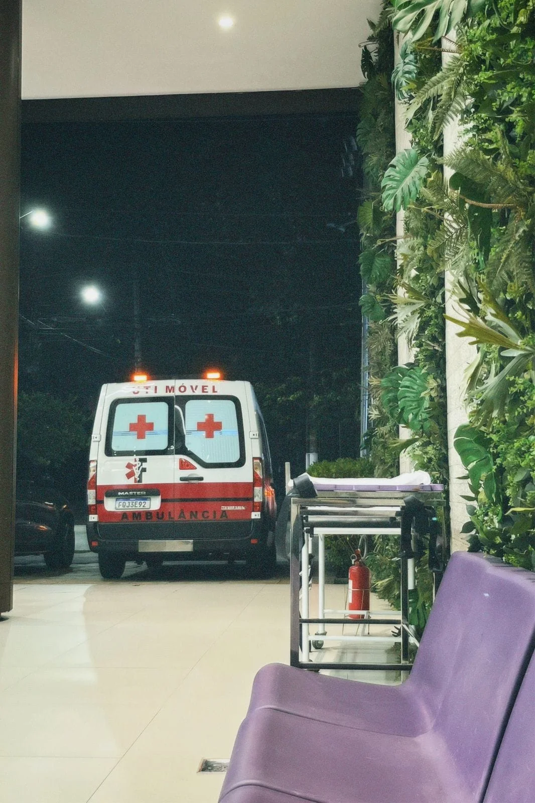 ambulância para animais em São Paulo