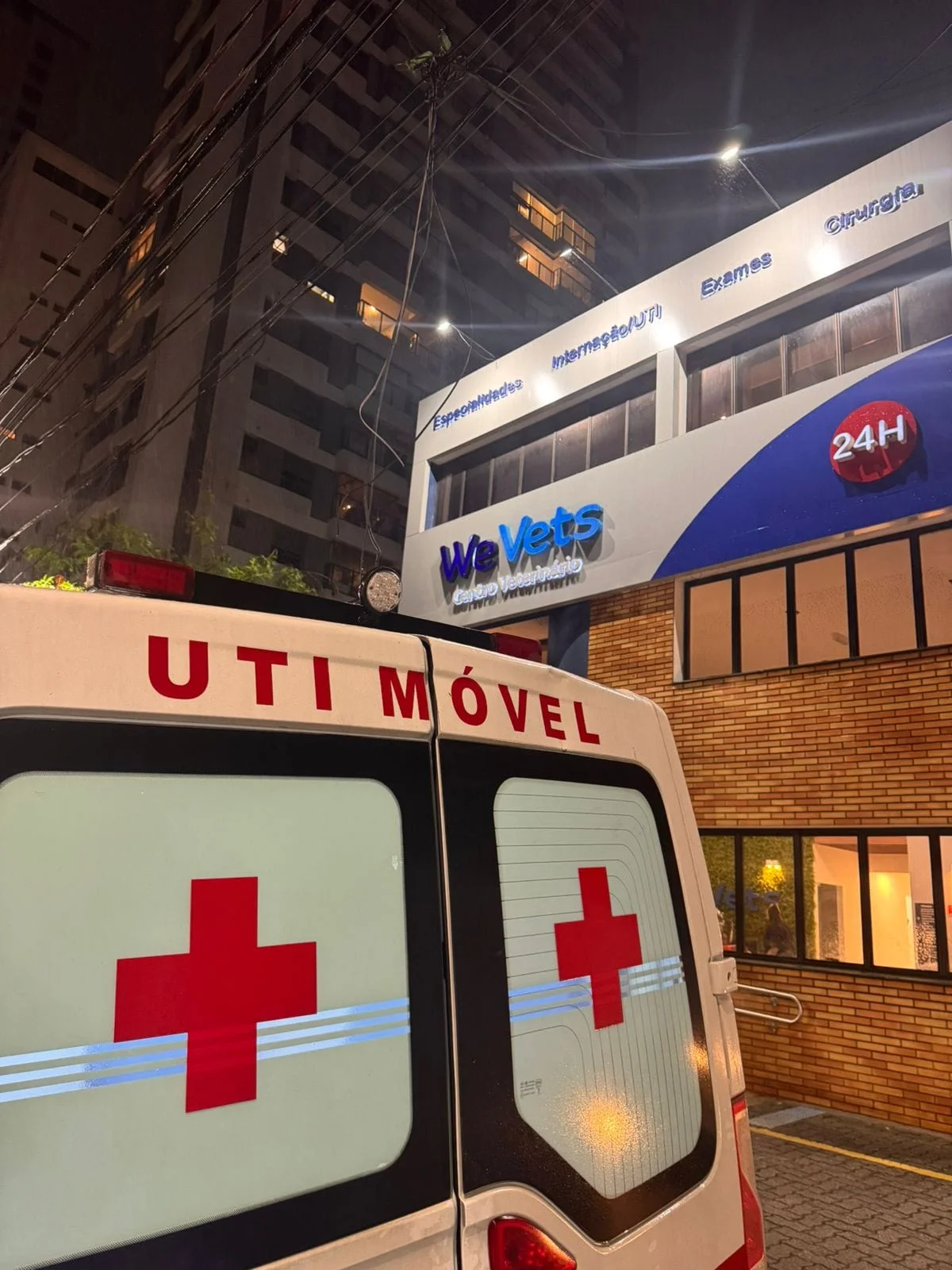 ambulância para gato