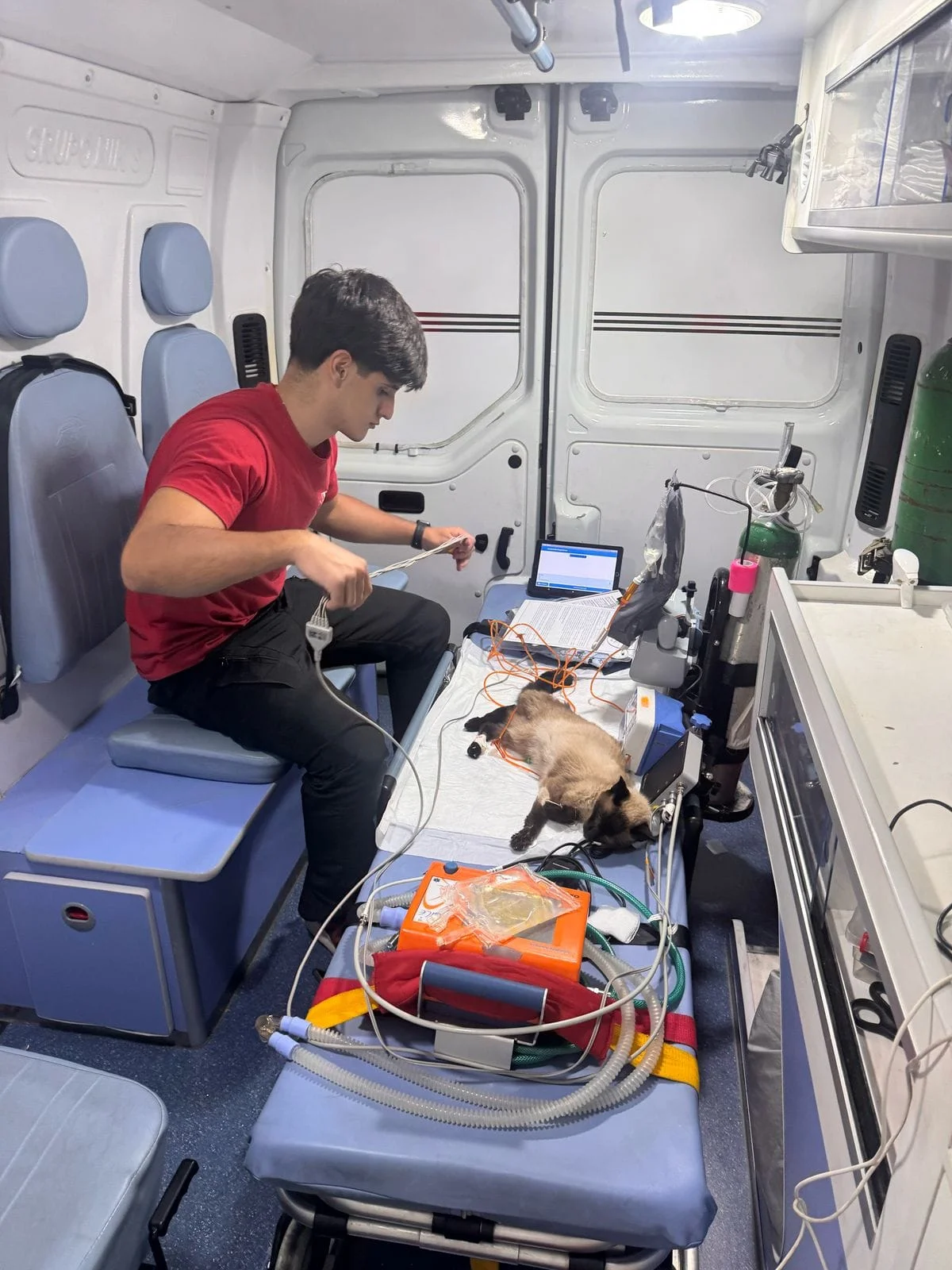 ambulância pet