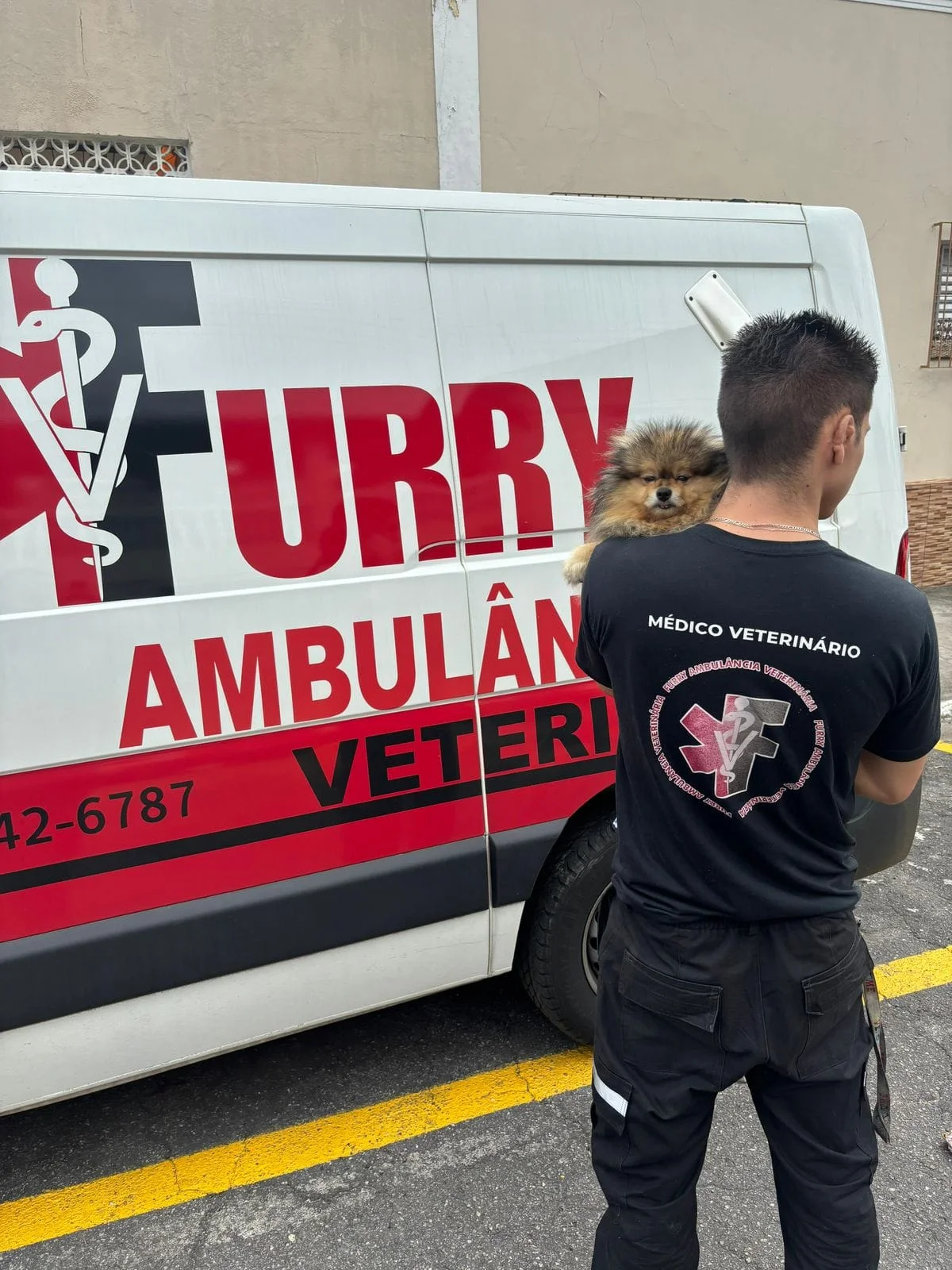 ambulância UTI veterinária