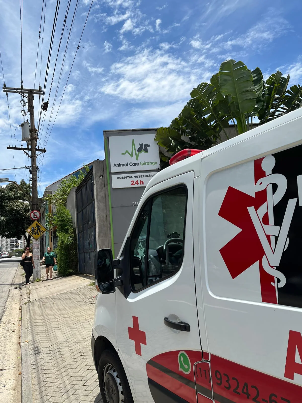 ambulância veterinária com oxigênio em São Paulo