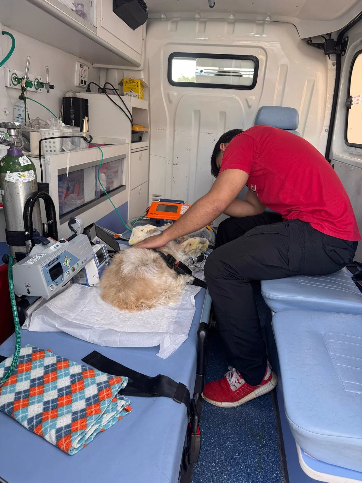 ambulância veterinária com oxigênio em São Paulo