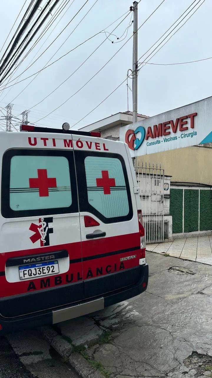 ambulância veterinária em São Paulo