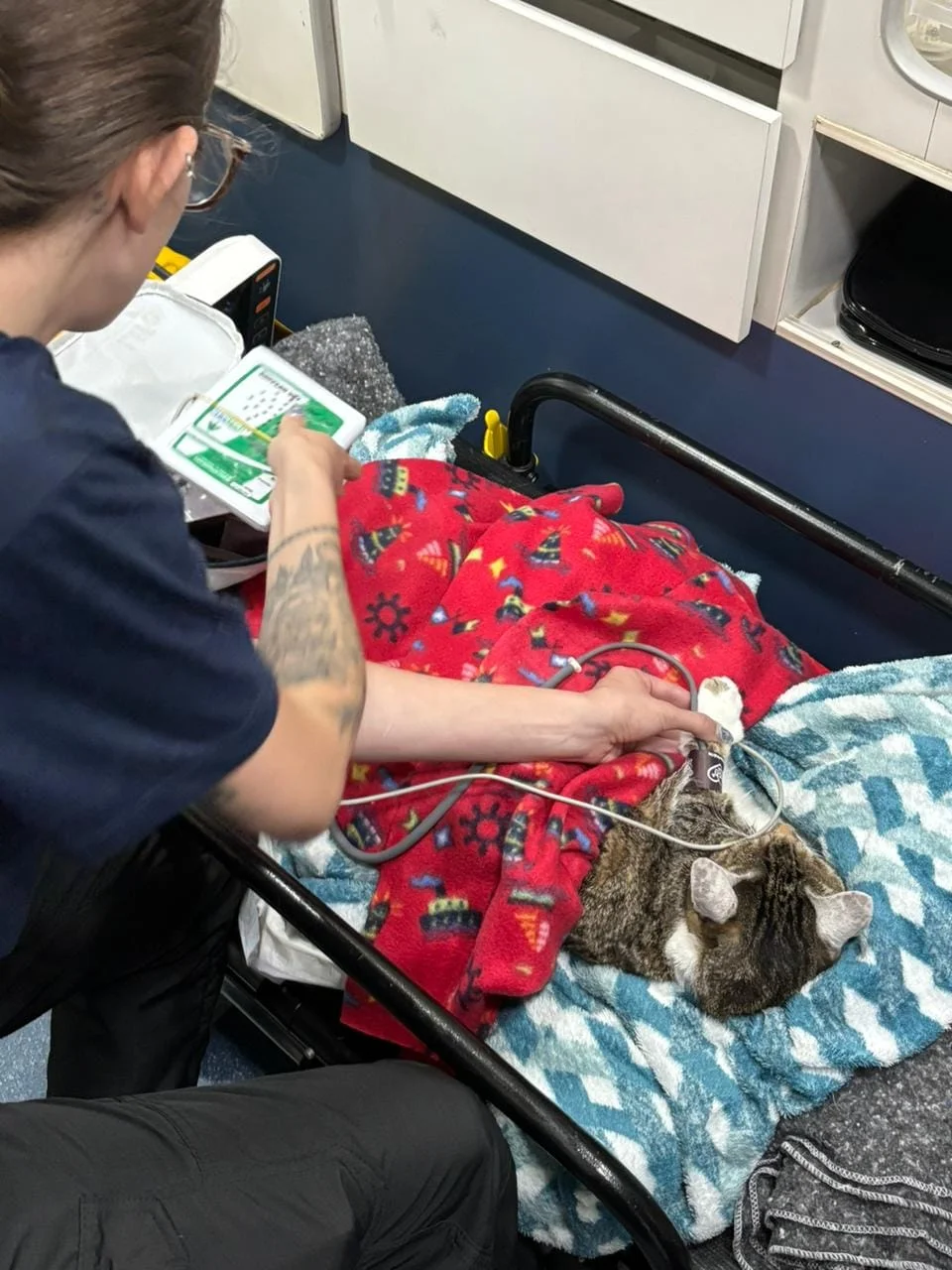ambulância veterinária UTI