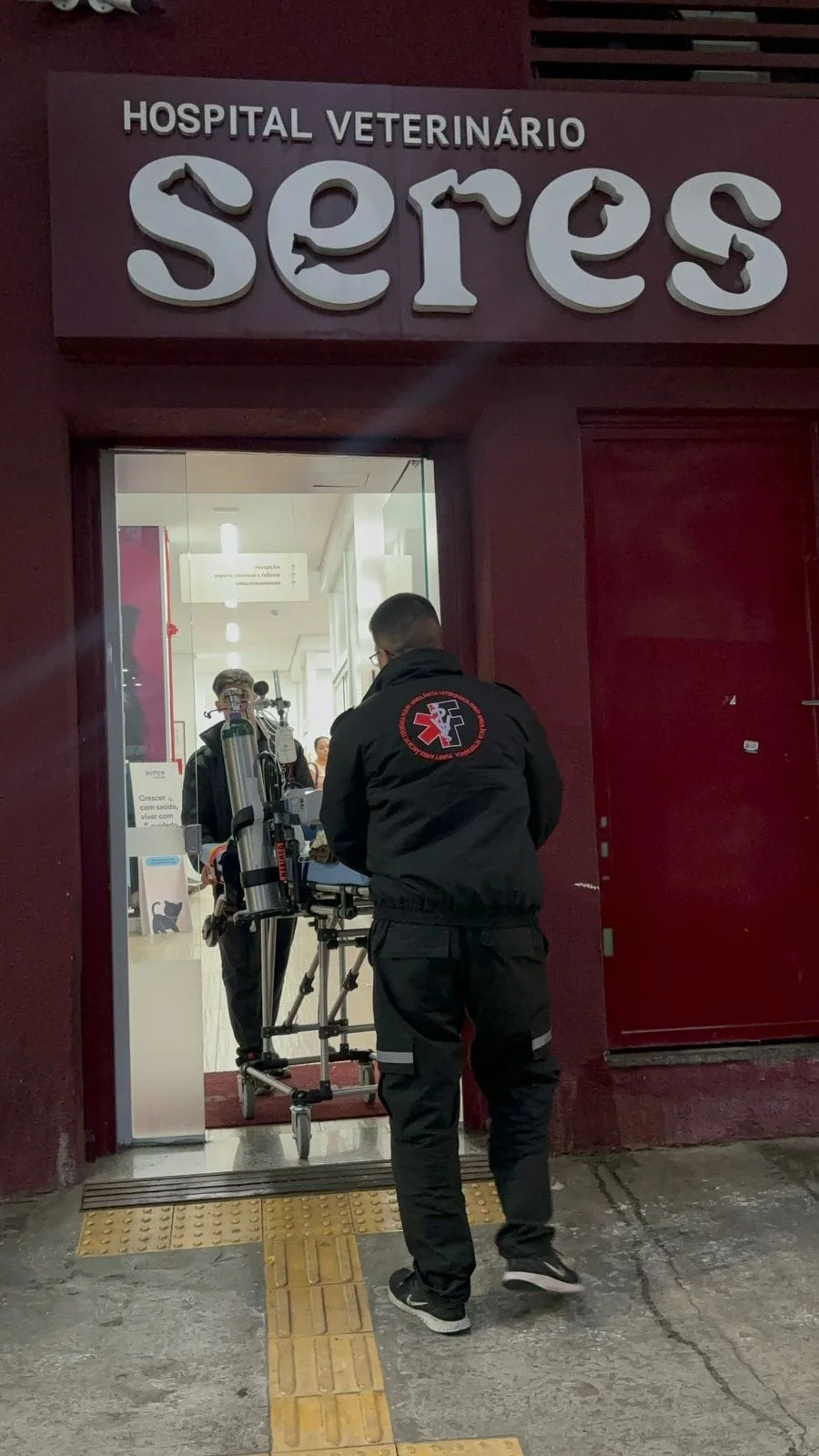 ambulância veterinária UTI em Minas Gerais