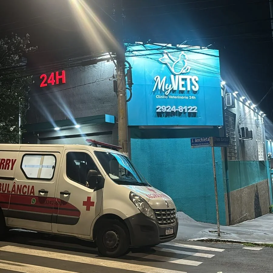 emergência veterinária para cães